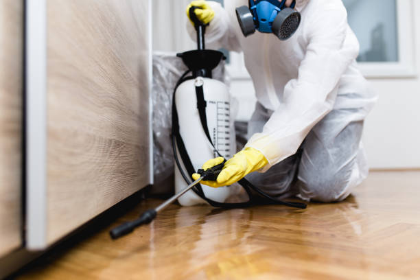 Best Pest Removal Services  in Duncan Falls, OH