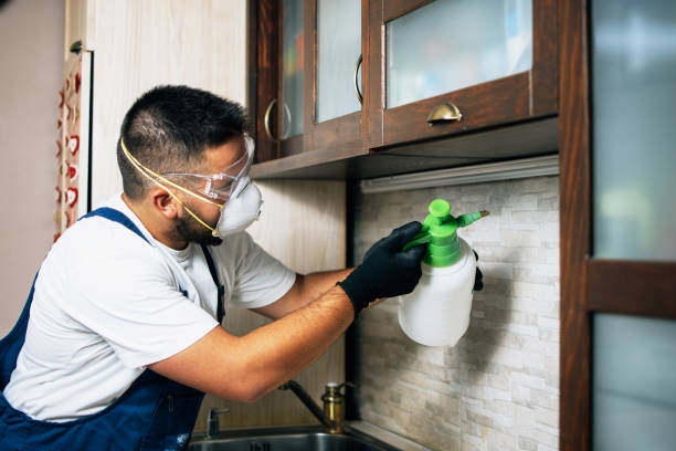 Best Insect Control  in Duncan Falls, OH