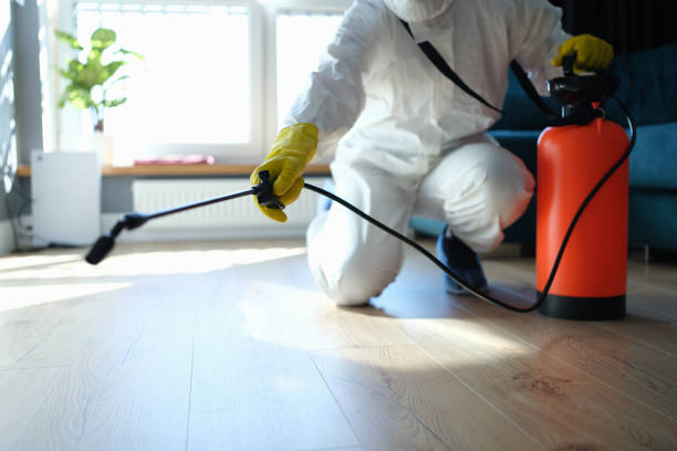 Best Flea Control Services  in Duncan Falls, OH