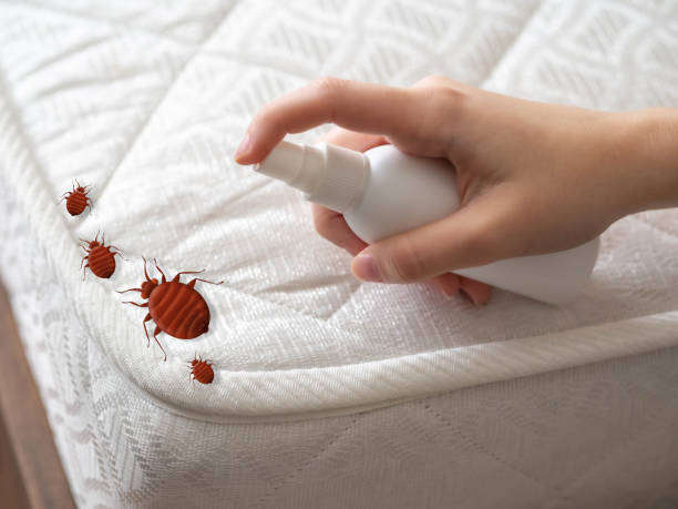 Best Local Pest Control Services  in Duncan Falls, OH
