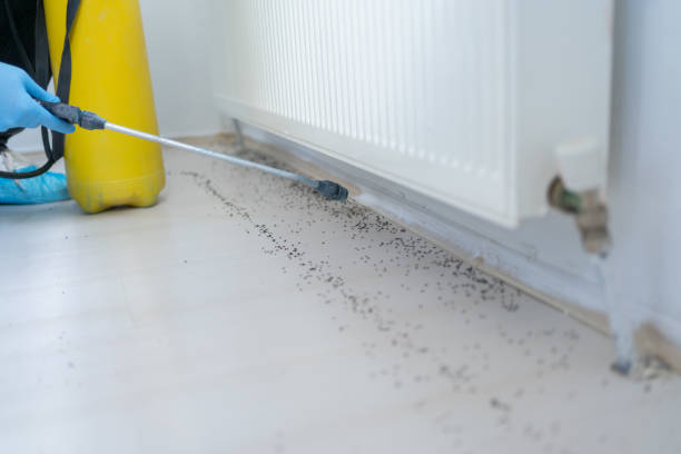 Best Cockroach Control Services  in Duncan Falls, OH