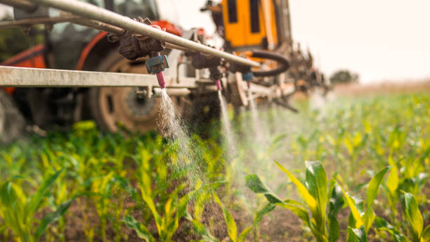 Best Ant Control Services  in Duncan Falls, OH