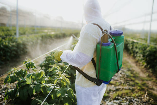 Flea Control Services in Duncan Falls, OH